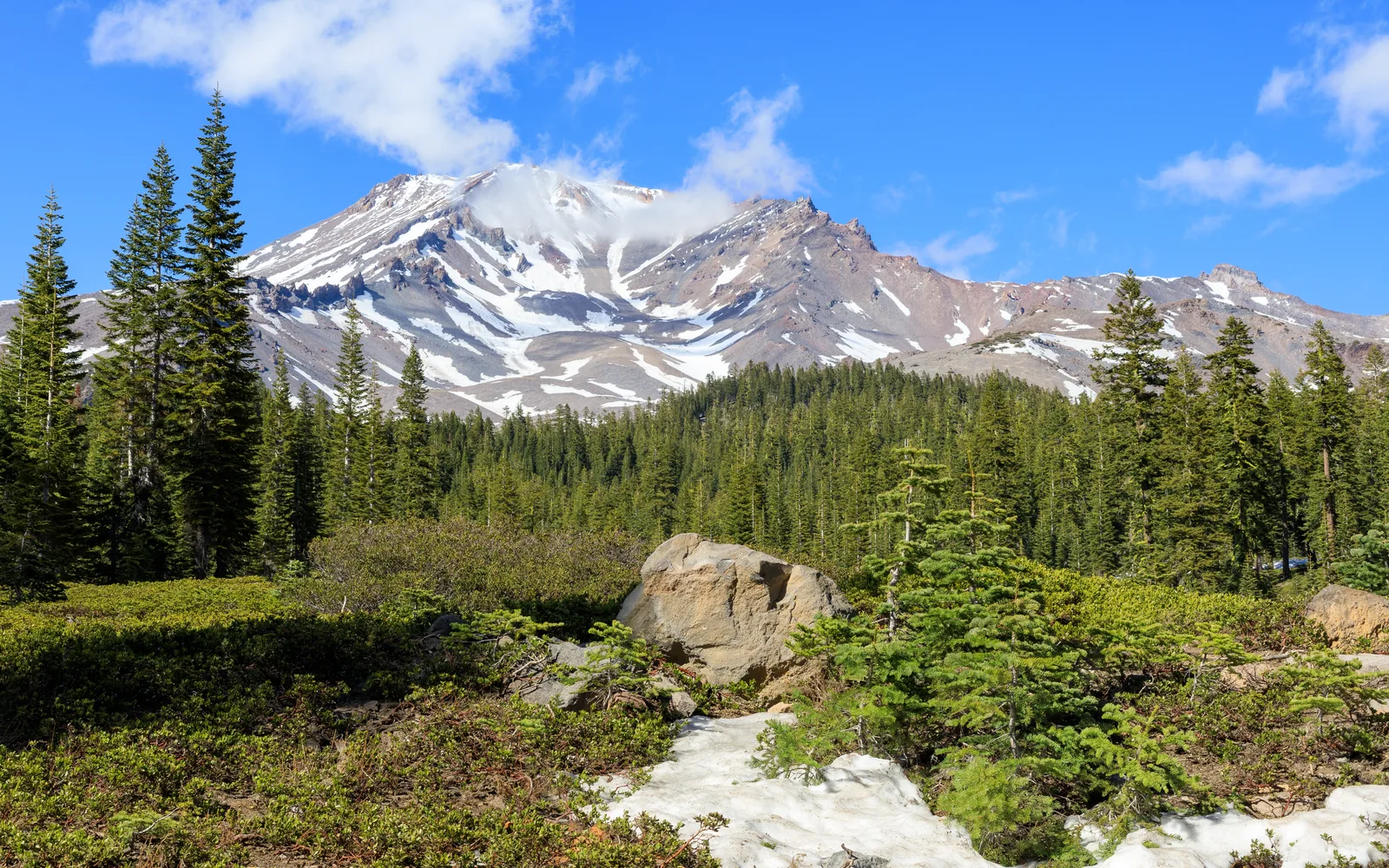 Mount Shasta as seen from Bunny Flat, showing a snow-covered peak against blue sky with surrounding forest landscape